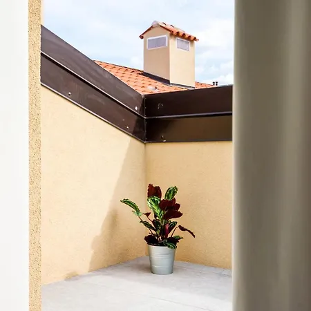 Joivy Premium - Mazzini * Trieste